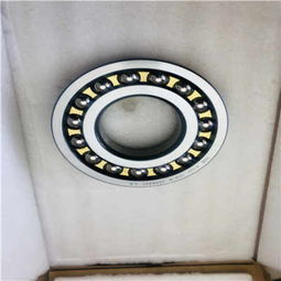 黎平縣SKF軸承 探究RNA49 68U型號(hào)的卓越品質(zhì)與瑞典血統(tǒng)